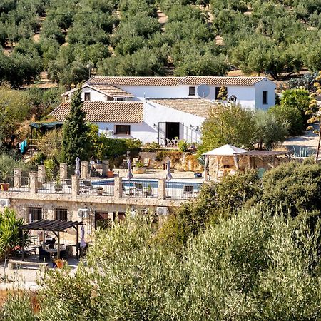 Hacienda La Buena Vida B&B En Appartementen Casita La Bruja Algarinejo Chambre photo