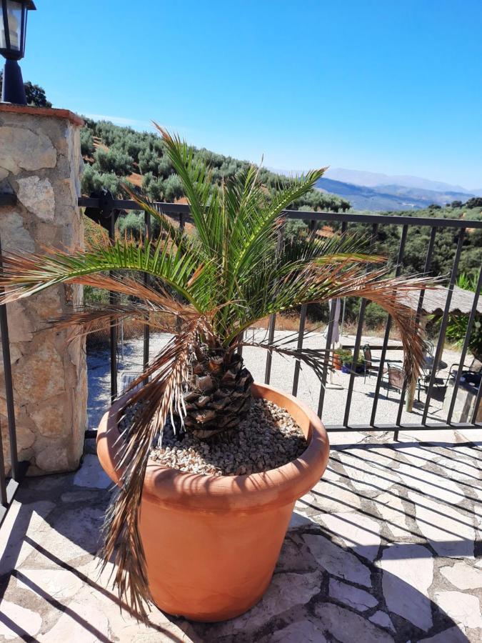 Hacienda La Buena Vida B&B En Appartementen Casita La Bruja Algarinejo Extérieur photo