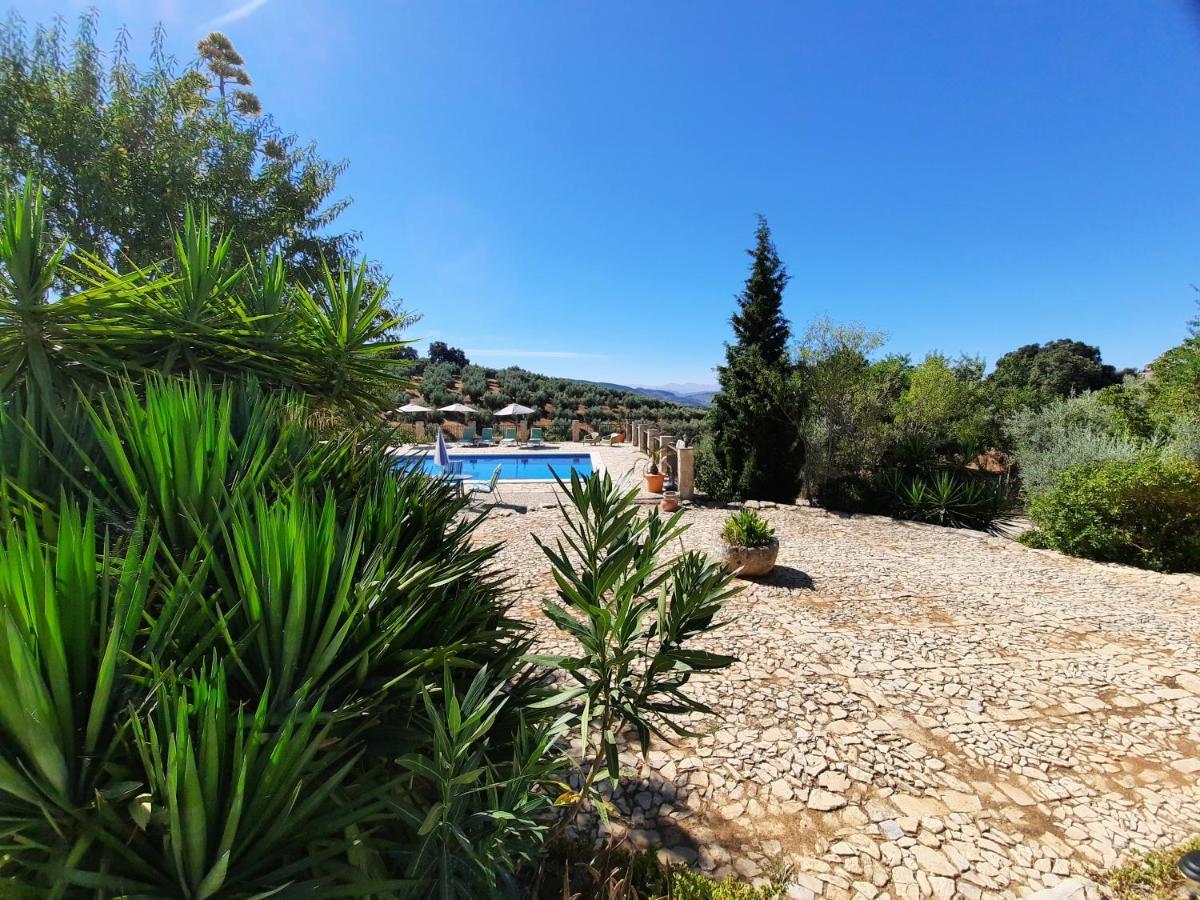 Hacienda La Buena Vida B&B En Appartementen Casita La Bruja Algarinejo Extérieur photo