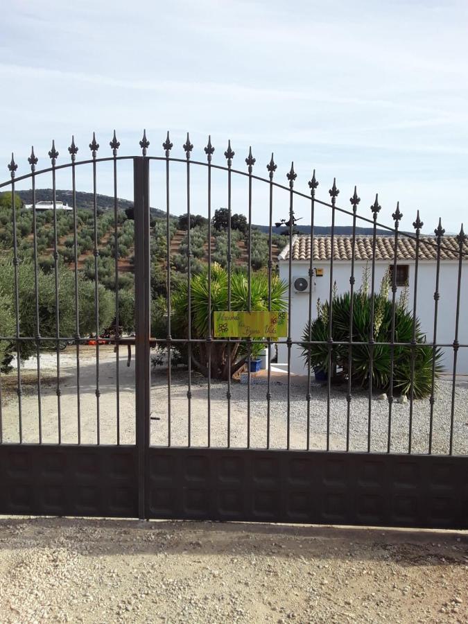 Hacienda La Buena Vida B&B En Appartementen Casita La Bruja Algarinejo Extérieur photo