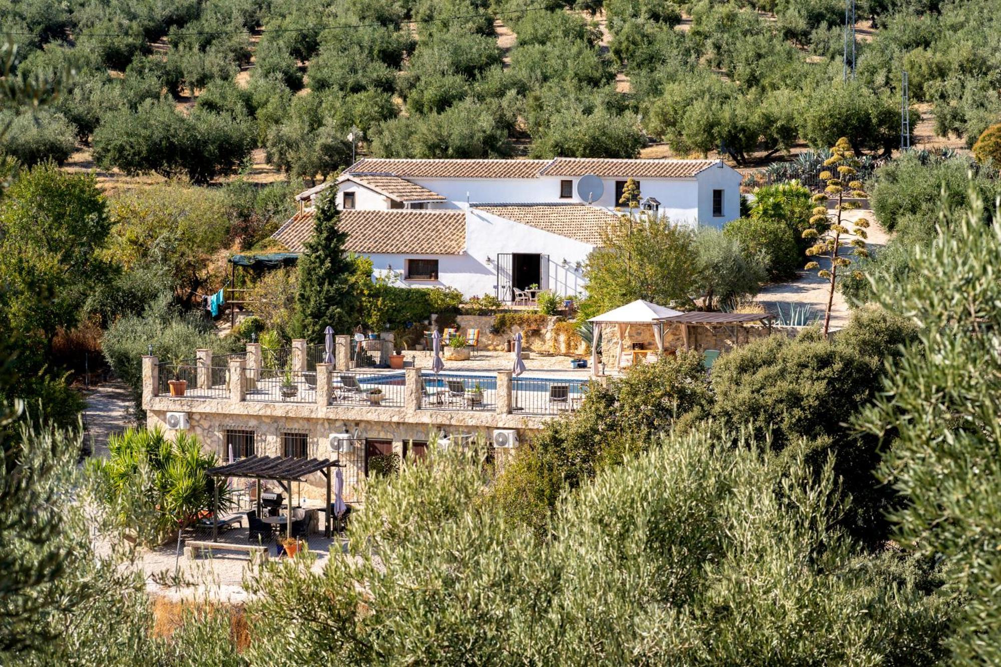 Hacienda La Buena Vida B&B En Appartementen Casita La Bruja Algarinejo Chambre photo